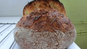 Blog-3