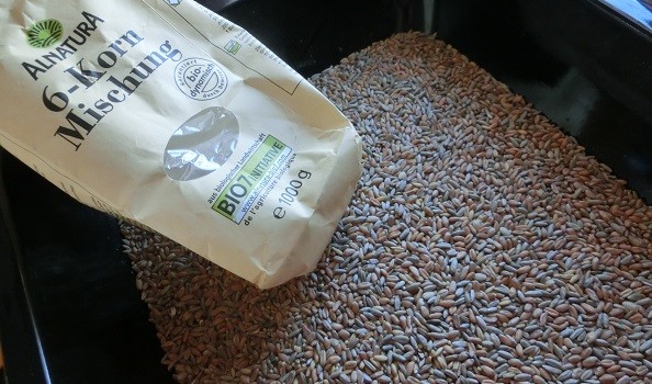 Mezcla de cereales (alemanes) traídos desde Holanda por Jose.