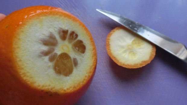 Desechamos el principio.