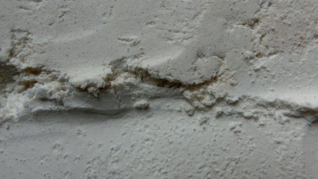 ÑLigero cambio de color (arriba) al tostar la harina.