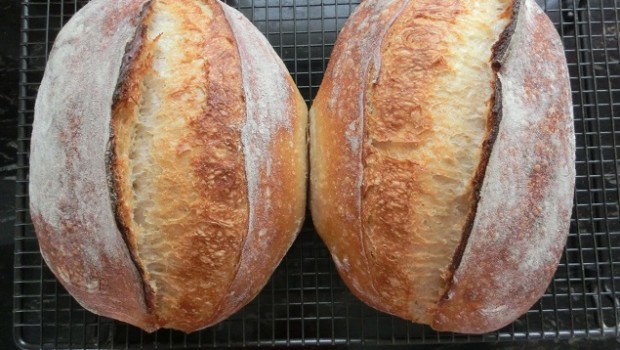 Panes con escaldado de Txakinarto