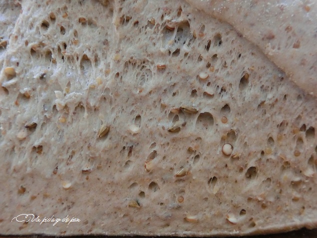 MAsa del Pan Energético, Juan José Guillamón.