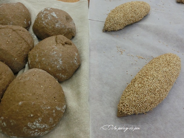 Formando el Pan Enriquecido, Francisco Javier Quintana.