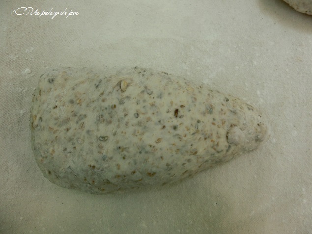 Formado del Pan con almendras y sésamo, Sergio Cristóbal Marquina.