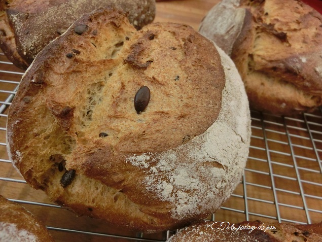 MAsa de espelta con frutos secos y semillas, Andreu Bertrán.