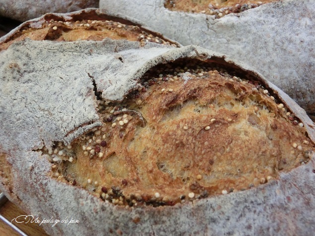 Doble corteza, Lot Roca.