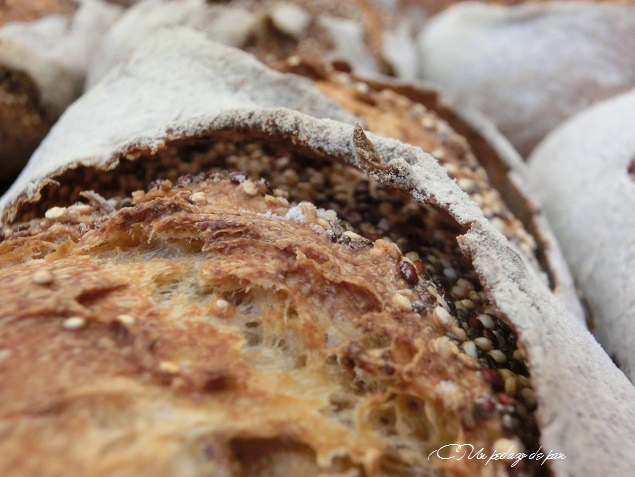 Rostoll Andino, Lot Roca.