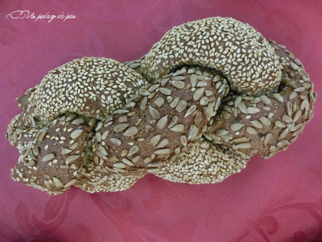 Pan Energético, Juan José Guillamón.