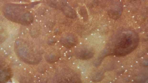 La textura una vez horneada al trasluz.