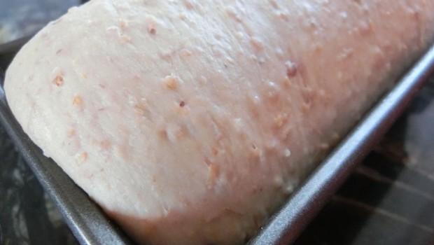 ... hasta que supere el borde del molde.