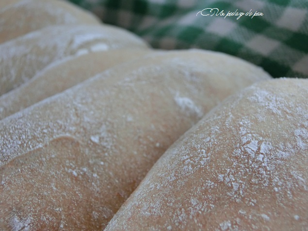 Ya horneados, apenas tienen corteza o color.