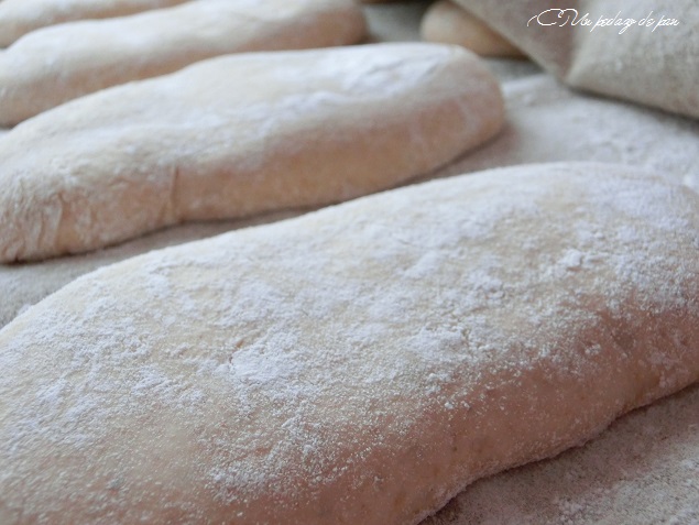 Están fermentados cuando se vean hinchados y esponjosos.