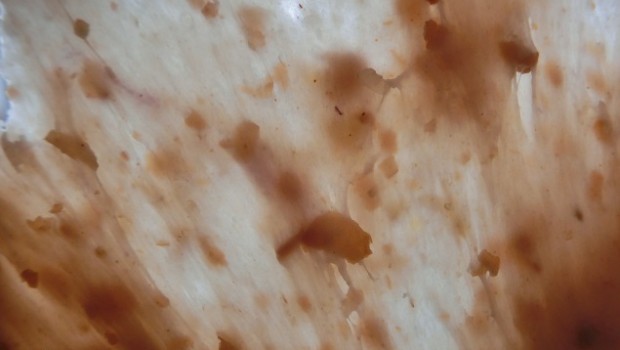 Bastante bien, con sus tropezones.