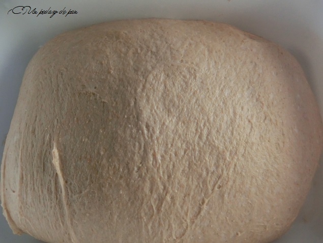 Masa fermentada en frío.