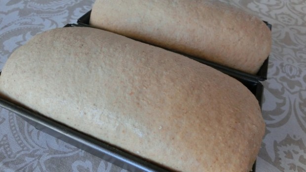 La masa sobresaldrá del borde del molde.