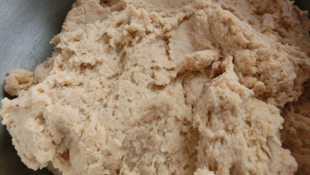 La masa, sin sal ni levadura, mezclada durante la autolisis.