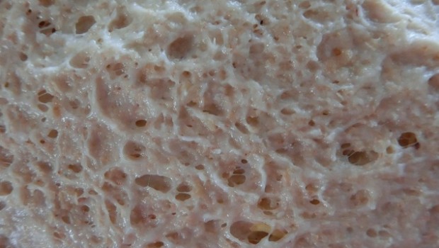 Y por la parte inferior presentará ya un alveolado fino.