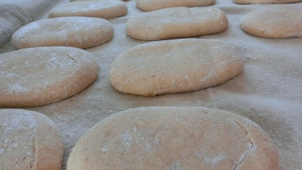 Molletes sobre lino después de fermentar.