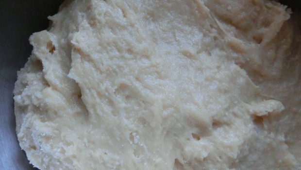 Mezclamos con la harina, la sal y la levadura y le damos un reposo.