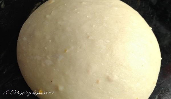 Masa terminada: satinada, suave, continua y sin desgarros.